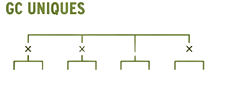 Four Good Chemistry breeding lines shown in a simple lineage diagram