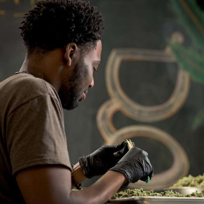 Vote for Good Chemistry 'Craft of Cannabis' campaign on "The Drum"