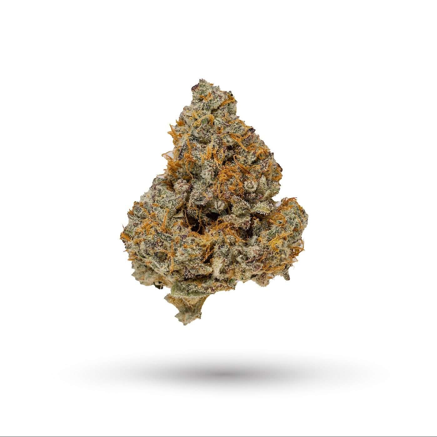 Colorado Creamsicle flower