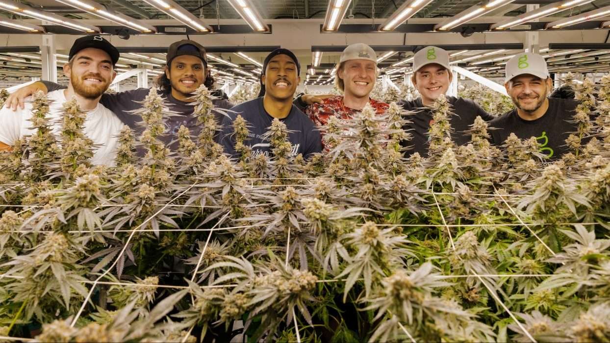Good Chemistry team members together in a cultivation room