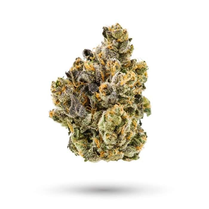 Gary Poppins cannabis flower
