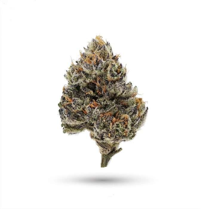 Biscotti cannabis flower