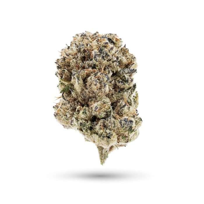 Grandpa's Cookies cannabis flower